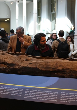Hall principal, palacio Lyon, Museo de Historia Natural de Valparaíso