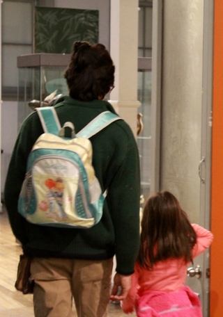 Acceso hall principal Museo de Historia Natural de Valparaíso.