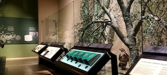 Exposición permanente Biodiversidad en la región central