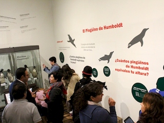 Alerta Pingüinos en Peligro