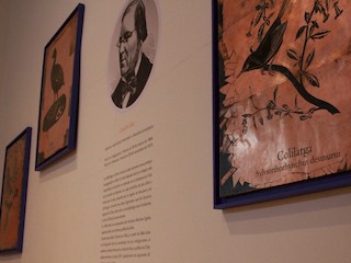 Exposición Temporal