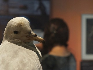 Coloquio especializado: Zona Costera
