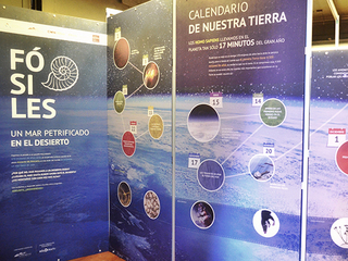 Fósiles: un mar petrificado en el desierto