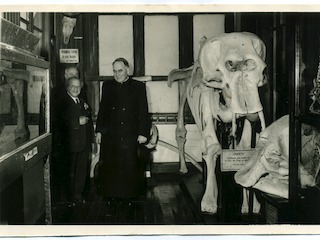 La Pieza del Mes: Apertura de colecciones históricas