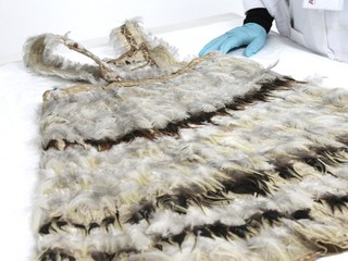 Pieza del Mes: Textil de Mahute Cultura Rapa Nui