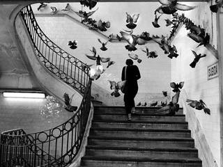 Conmemoración Día Internacional de la Mujer