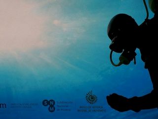 Conciertos de Navidad