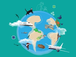 Biomimética: Soluciones inspiradas en la Naturaleza