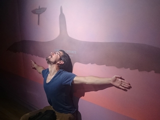 Temporada de verano, en el Museo de Historia Natural de Valparaíso