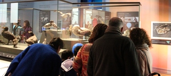 Día del Patrimonio Cultural