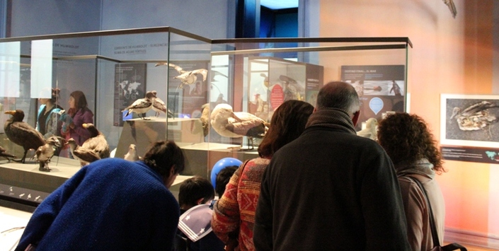 Día del Patrimonio Cultural