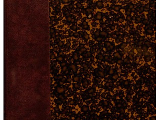 El viaje de Benjamín Vicuña Mackenna. 1876. 100 pp.