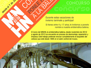Afiche Concurso: PONLE NOMBRE A LA BALLENA