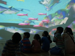 Medianoche de museos 2016