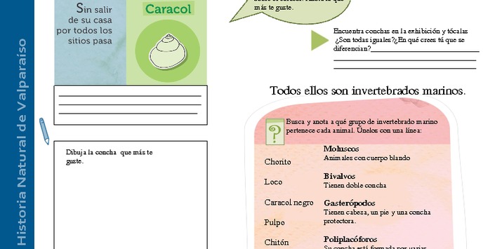 Guía Entremareas N°1