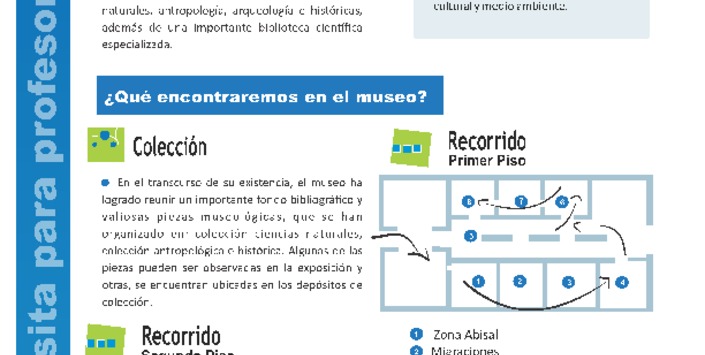 Pauta para profesores 1