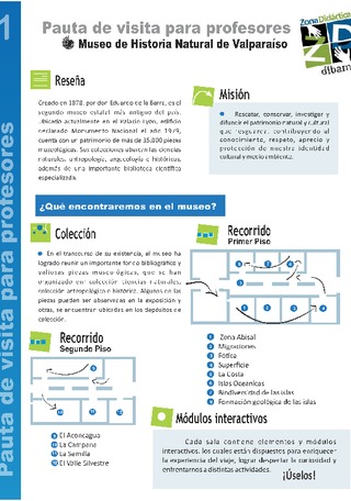 Pauta para profesores 1