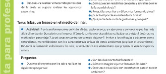 Pauta para profesores 4