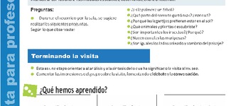 Pauta para profesores 5