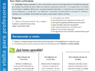 Pauta para profesores 5