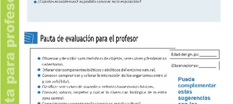 Pauta para profesores 6