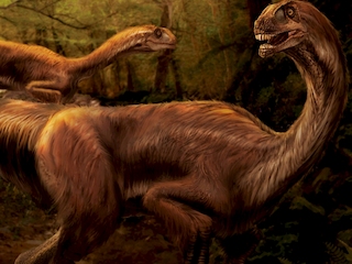 Detalle portada libro «Dinosaurios de Chile: pasado y presente»