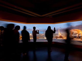 Desierto de Atacama.