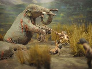 Diorama caza de gonfoterios en Tagua Tagua