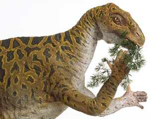 Iguanodon