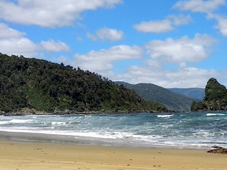 Vista del bosque de olivillo costero recorrido por el sendero “el Galpón”, con el islote “el campanario” en frente