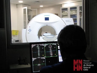 Figurilla siendo escaneada.