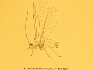 Publicación Ocasional 49