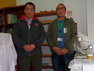 Jorge Pérez-Schultheiss y Carlos Oyarzún Segovia en Zoología de Invertebrados del MNHN.