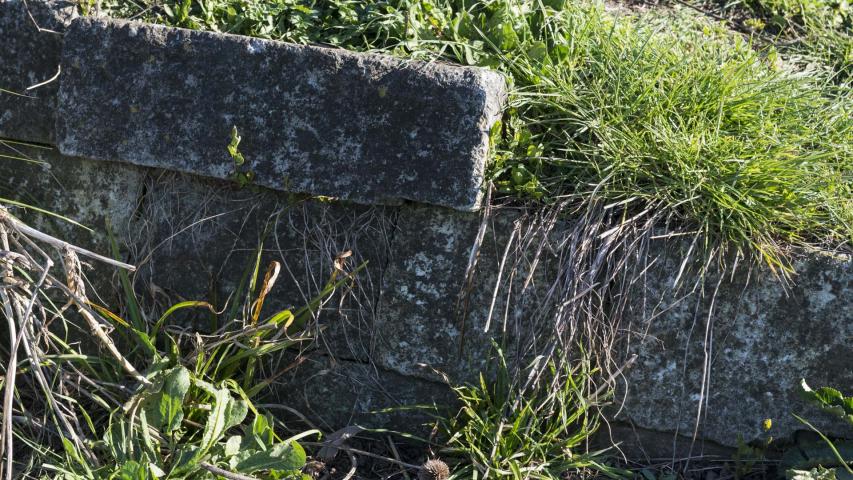 Imagen del monumento Fuerte San Carlos de Purén