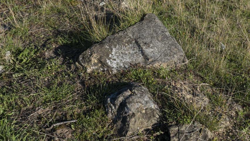 Imagen del monumento Fuerte San Carlos de Purén