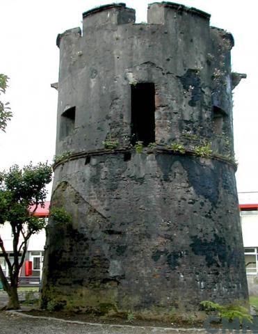 Imagen del monumento Torreón Picarte