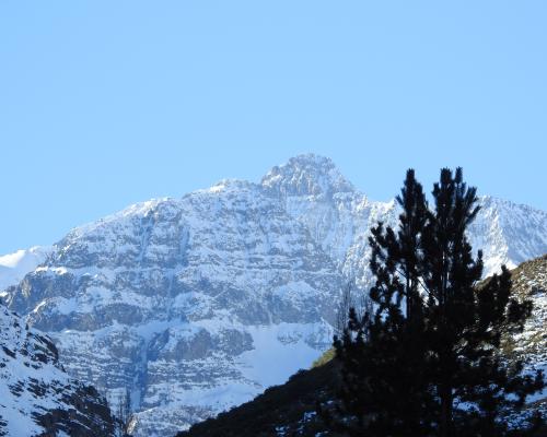 Imagen del monumento Fundo Yerba loca