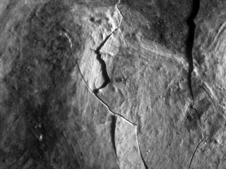 DIDO Y ENEAS INTERVENCIÓN A UN ÓLEO SOBRE PAPEL