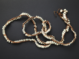 Collar de Margarella violacea