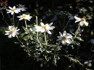 Parque Archipiélagos