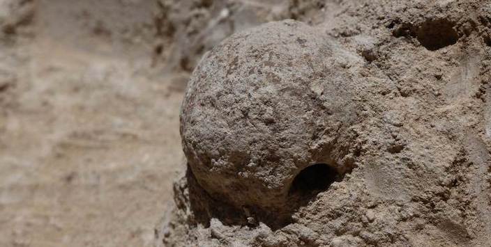 Nidos fósiles de escarabajos