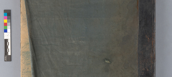 Tapa posterior frontal antes del tratamiento.