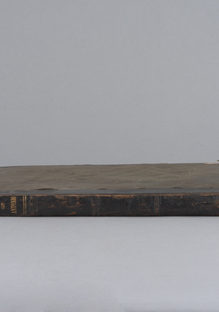 Lomo escorzo antes del tratamiento