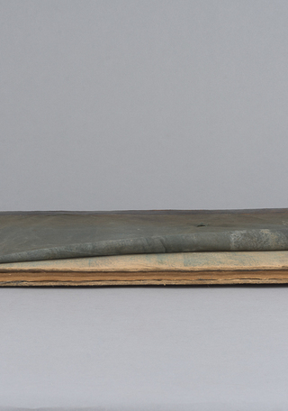 Corte delantero escorzo antes del tratamiento