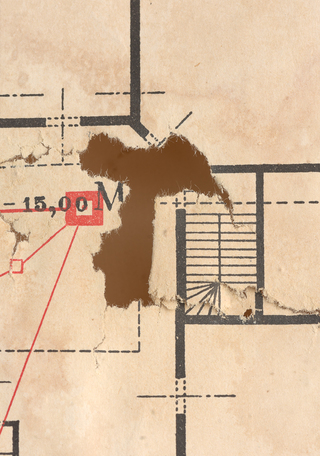 Faltante producto de hongos en plano serie I N°3, antes del tratamiento