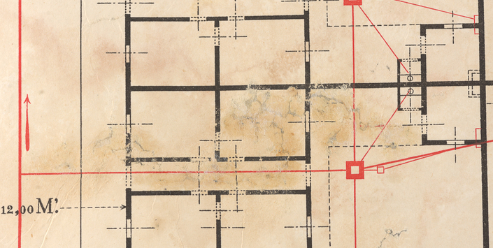 Detalle de injertos y uniones de rasgados durante tratamiento