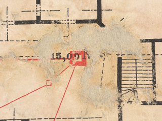 Detalle de injerto durante tratamiento