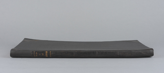 Lomo escorzo después del tratamiento