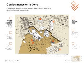 Excavación arqueológica