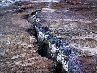 Detalle, obra de Javiera Aravena